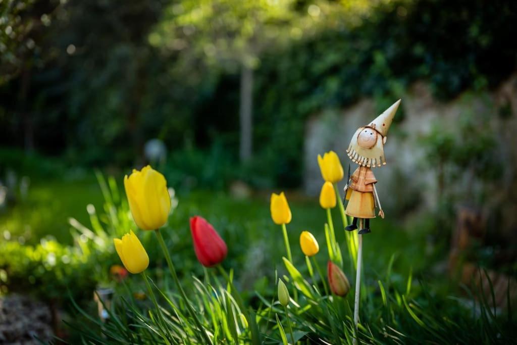 Monica Appartamento Con Giardino Al Ponte Vecchio Floransa Dış mekan fotoğraf